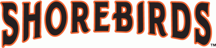 Delmarva Shorebirds 2010-Pres Wordmark Logo iron on paper